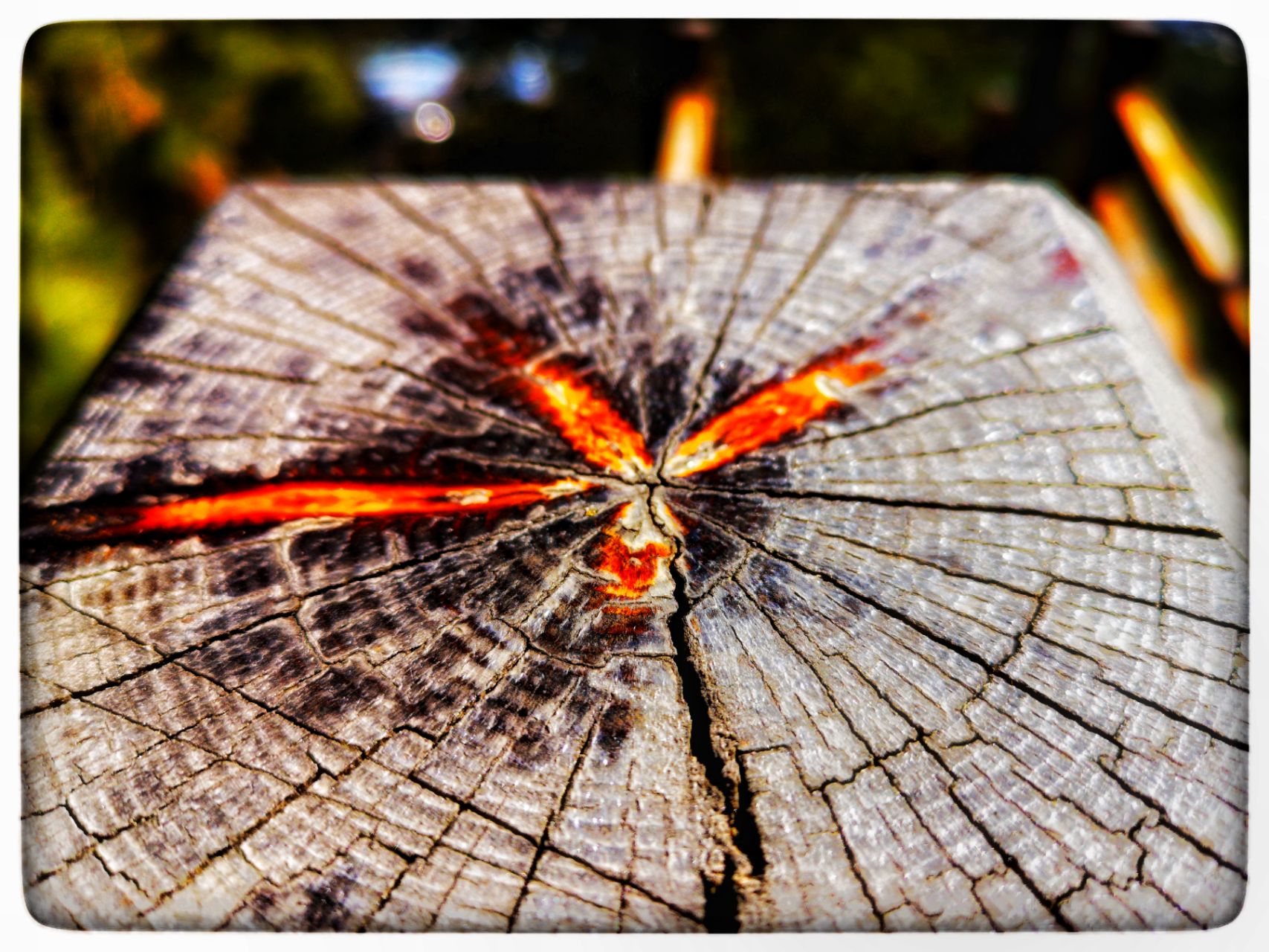 爱游戏娱乐-包含即时盘口球员突破自我,表现堪称完美的词条