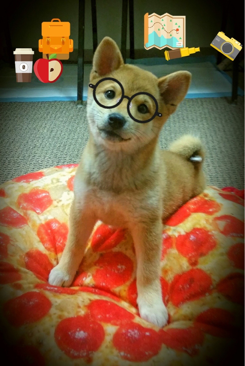 爱游戏入口-颠覆与宣言，瑞典队3-0碾压中国队，张本智和11-2关键局制胜震撼乒坛