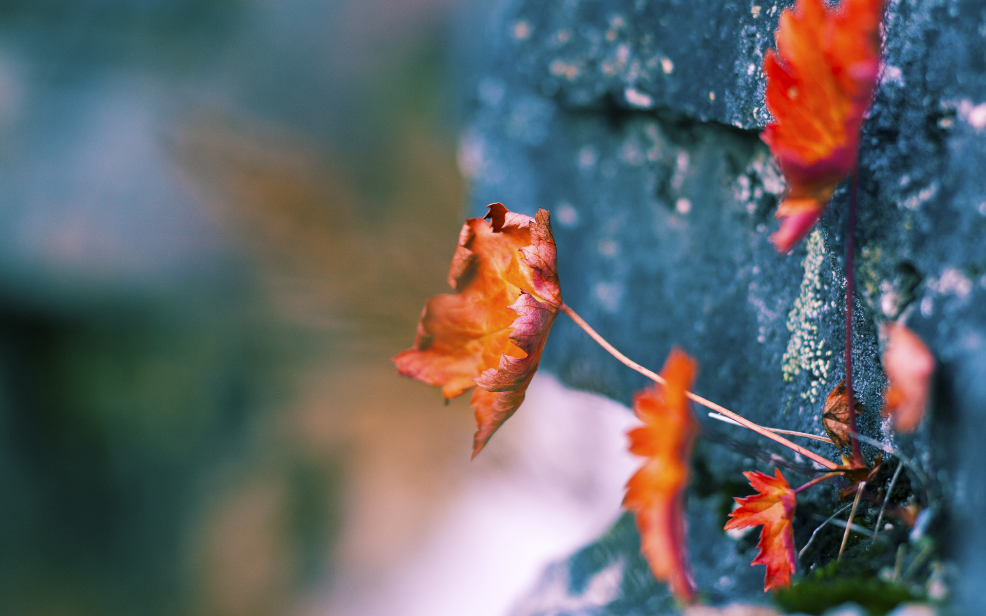 爱游戏在线-奥林匹亚的叹息，奥亚尔萨瓦尔一剑封喉，马赛绝境屠龙记