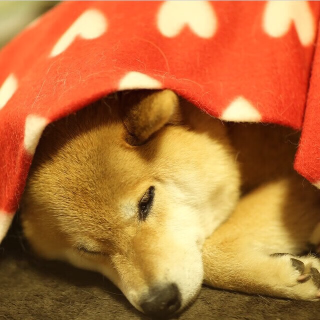 黄色潜水艇掀翻航母！哈弗茨关键两击扼杀巴黎