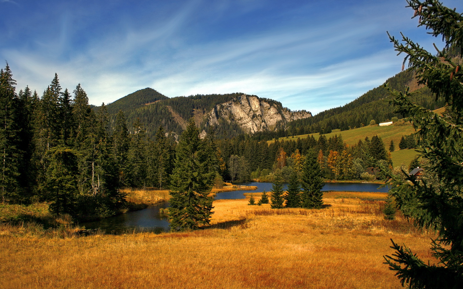 爵士节奏撕裂浙江，切特的交响乐指挥如何让比赛评分彻底拉满？