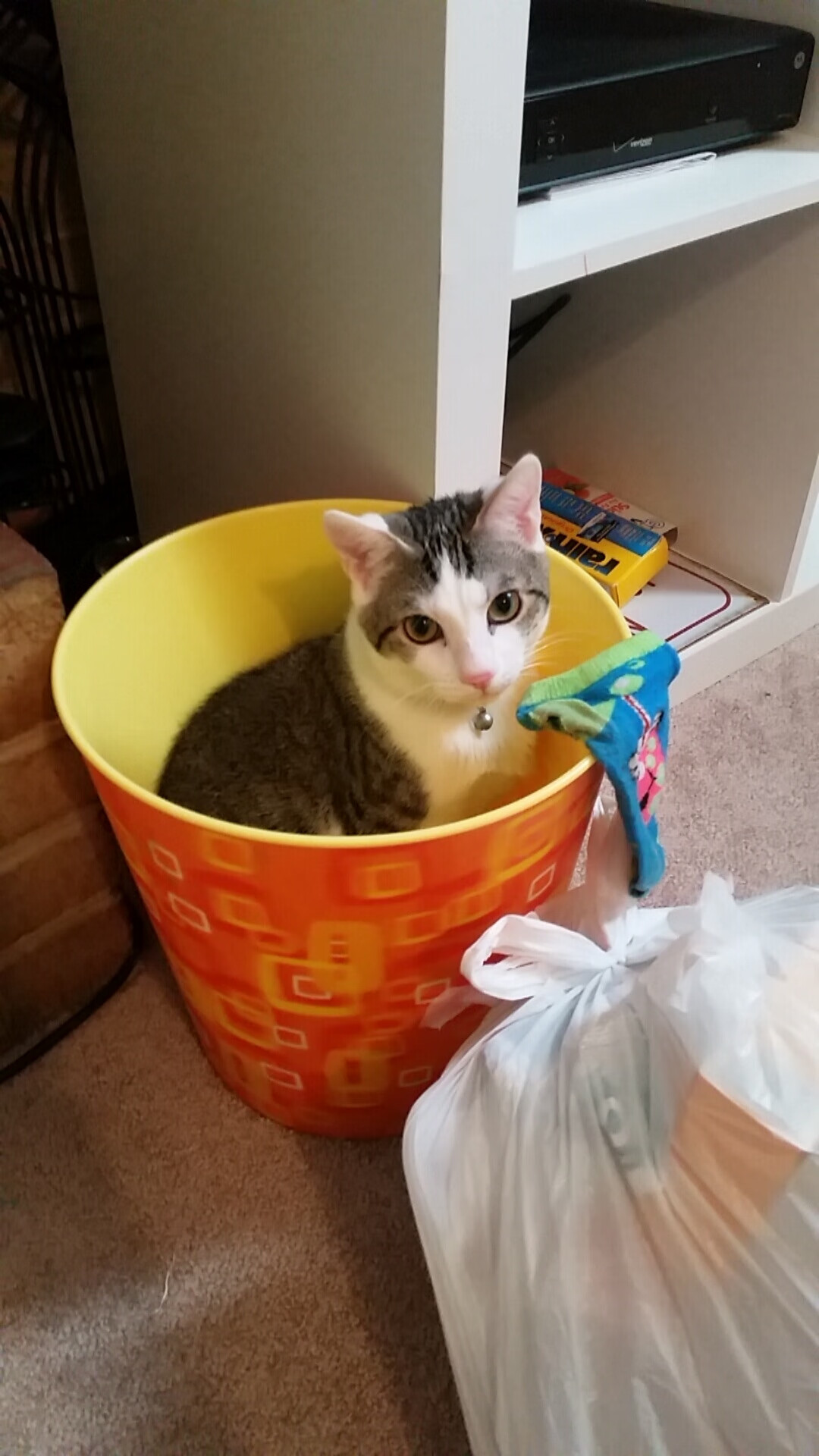 爱游戏-双面镜子，孙兴慜的孤单英雄与智利队集体觉醒