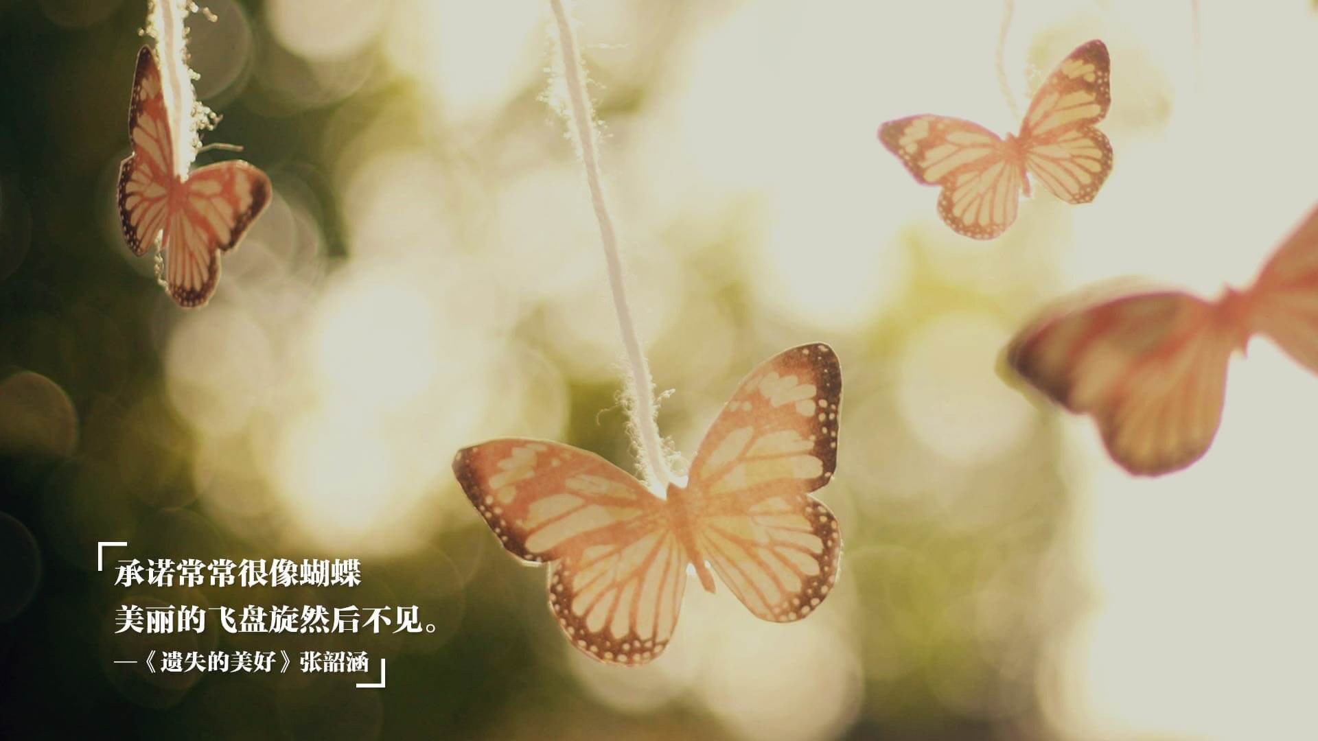 年度焦点之战，加克波以一敌百，赛后满分评分诠释何为巨星价值