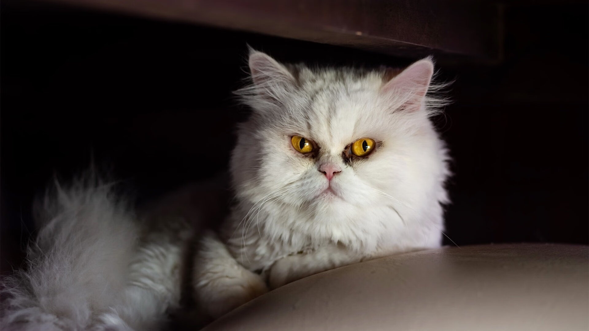 终场哨响时，德里赫特在北京的雨夜里完成自我救赎