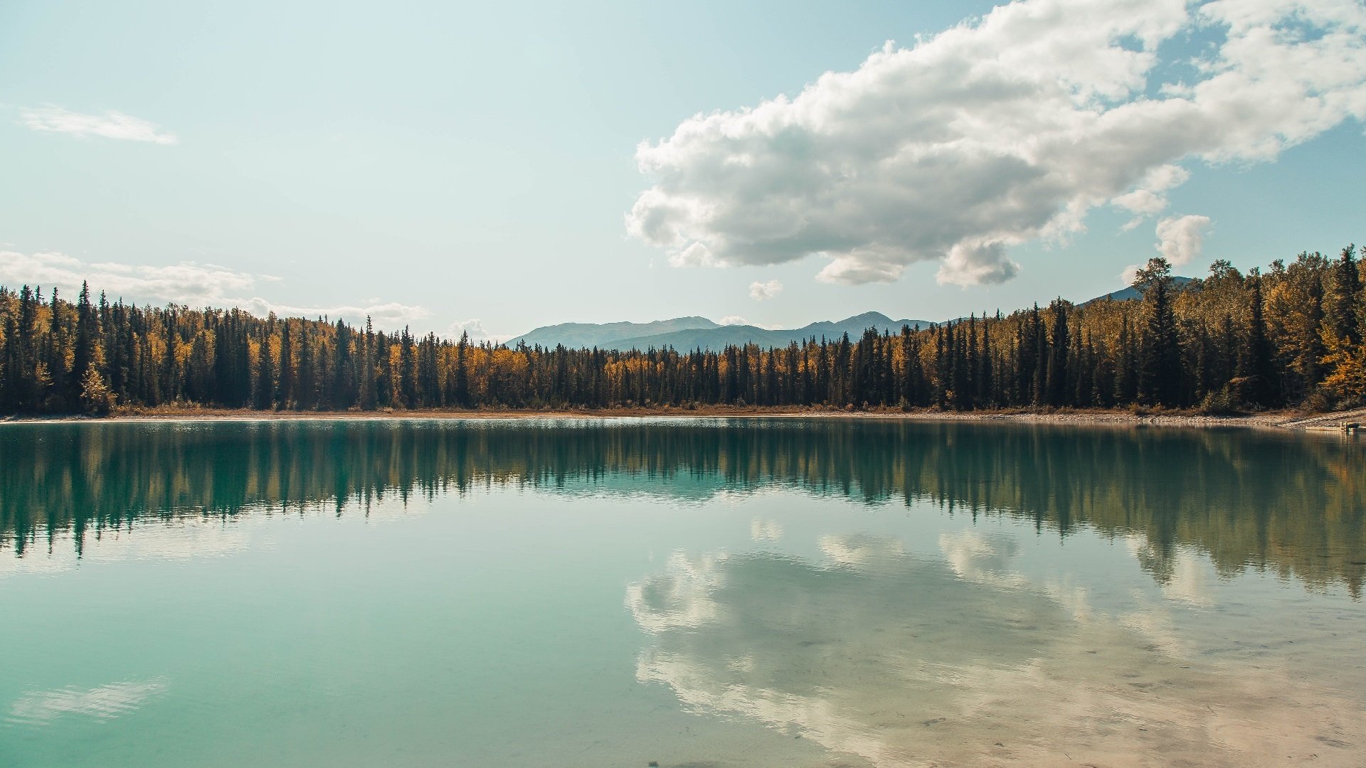 爱游戏在线-浴火涅槃，逆风执炬者，今夜，克莱·汤普森的评分为何能拉满？
