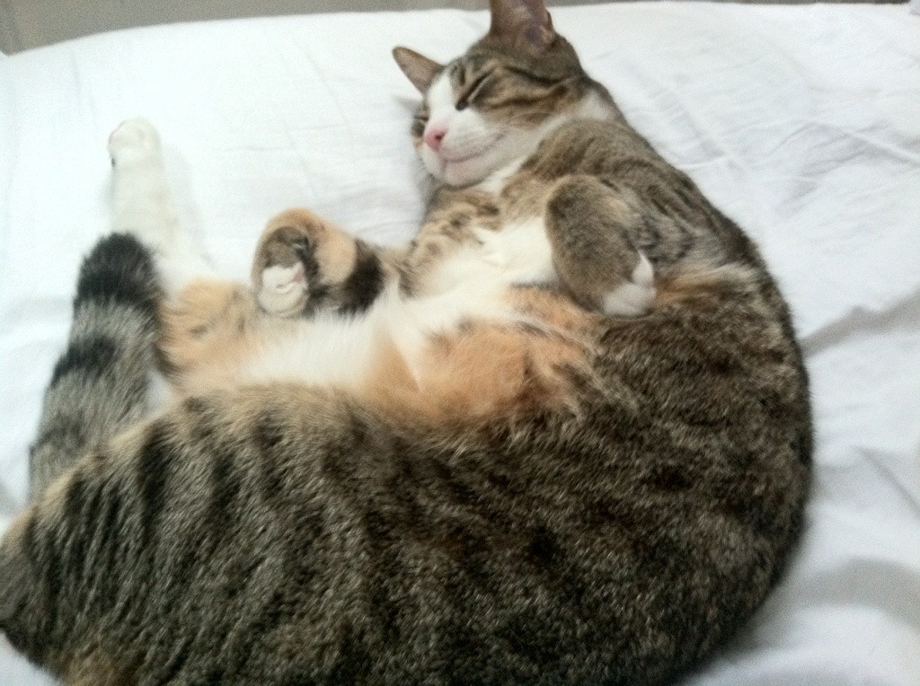 风暴眼贝恩,一夜之间,他让所有关于悬念的讨论变得多余