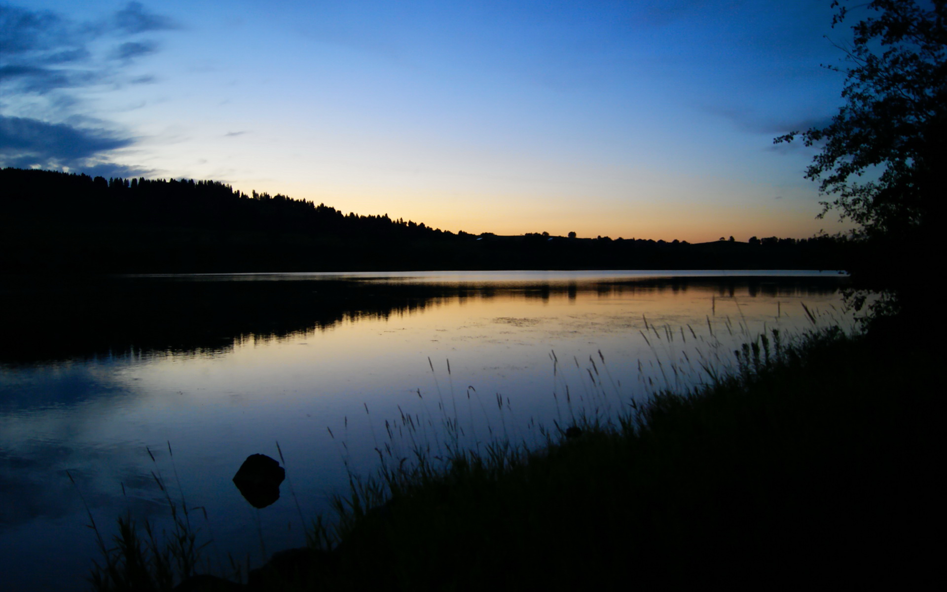 夜之纹章，当范弗利特在街道上刻下胜利密码
