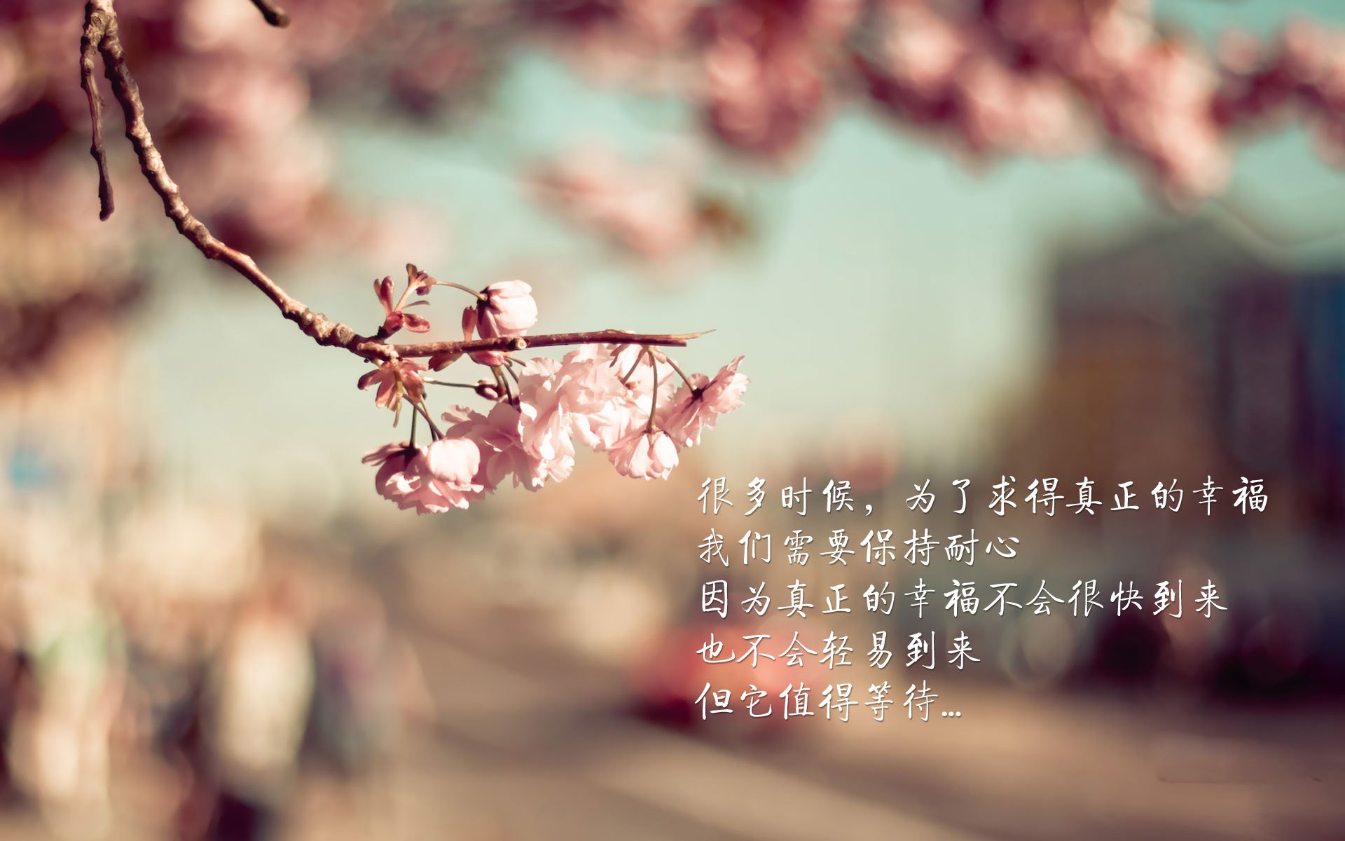 孤胆英雄福登,2026世界杯B组一战定乾坤,波兰遭伊朗全场压制