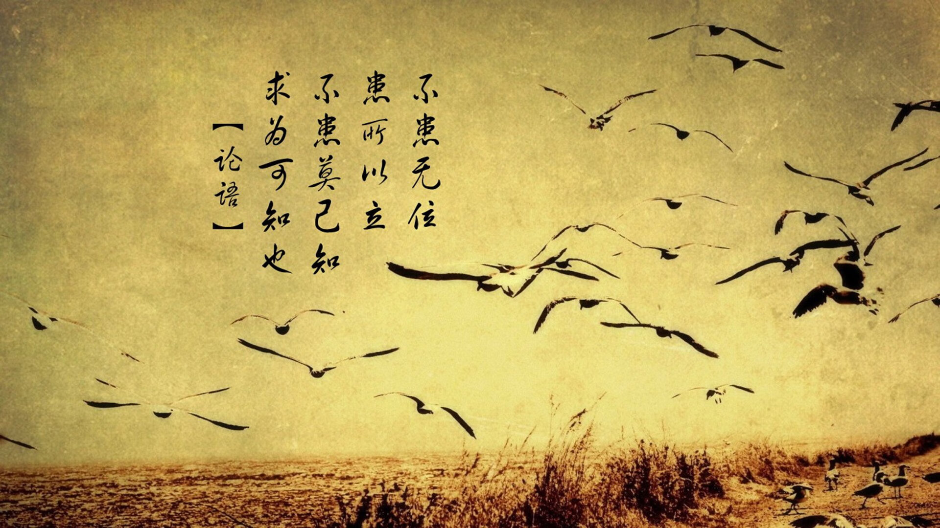 冰与火之歌,2026世界杯F组关键战,冰岛碾压比利时,萨内带队逆转翻盘