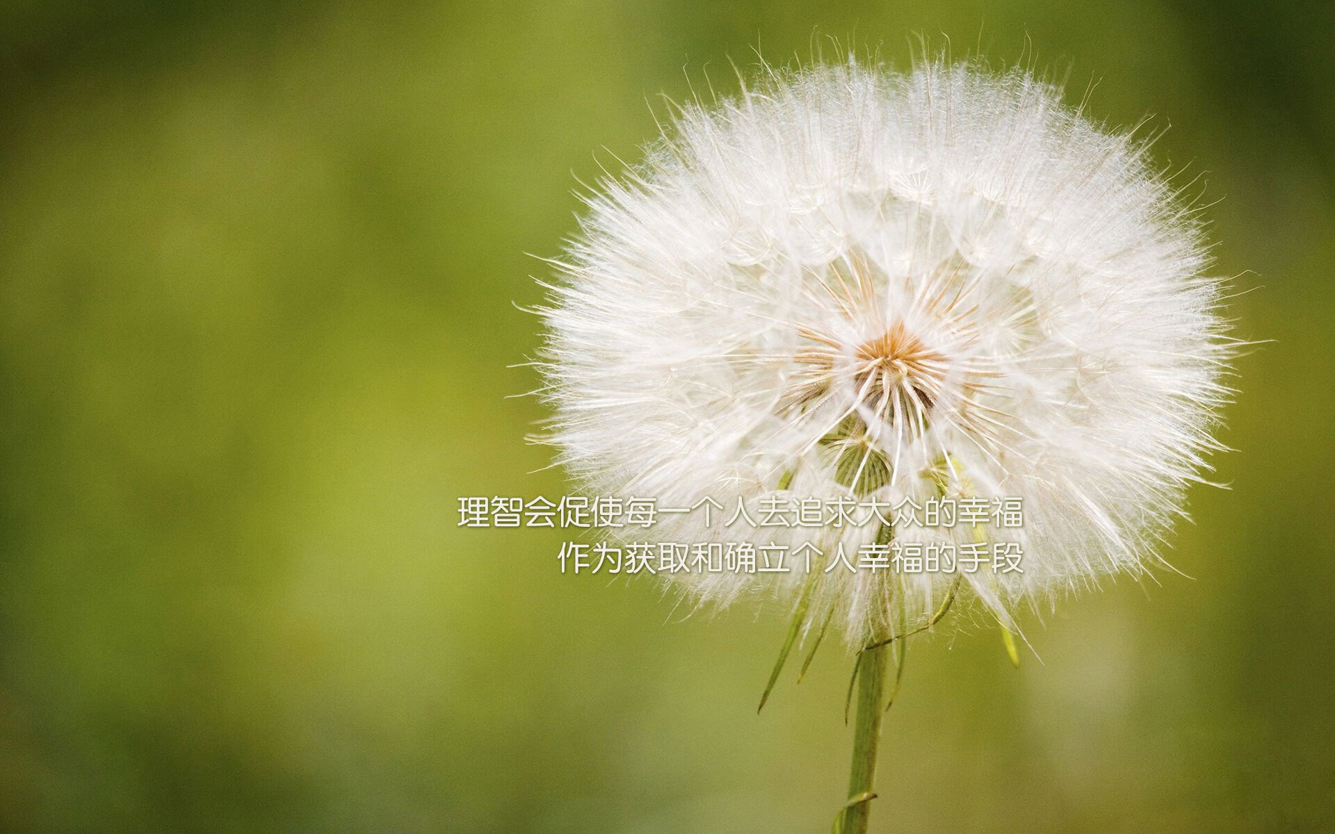 爱游戏下载-逆转的独白，2026世界杯D组，罗马尼亚以孙兴慜之名改写历史